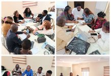 Niger Delta Fellows Craft Blueprint to Sustain Community Projects
