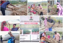 Cal. Municipality/Odukpani: “I Have Never Benefited from Governance Before” — Farmers Laud Akiba’s Cooperative Scheme