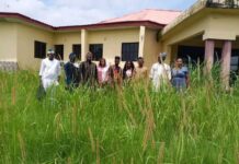 Yala council chambers overgrown with grass, shrubs as lawmakers pose for photographs in the overgrowth