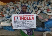 NDLEA arrests 46-year-old woman, seizes 1.1 tonnes of cannabis in Ikom raid